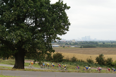 tree, riders and the view across London